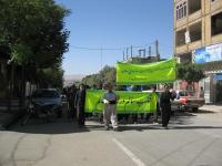 پیاده روی سالمندان
